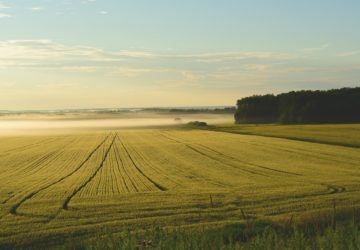 Comment bien préparer la vente de mon exploitation agricole ?