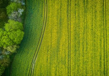 Avantages fiscaux et investissement dans les terres agricoles