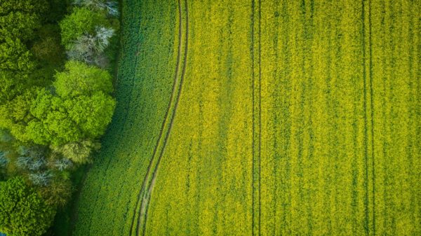 Avantages fiscaux et investissement dans les terres agricoles 