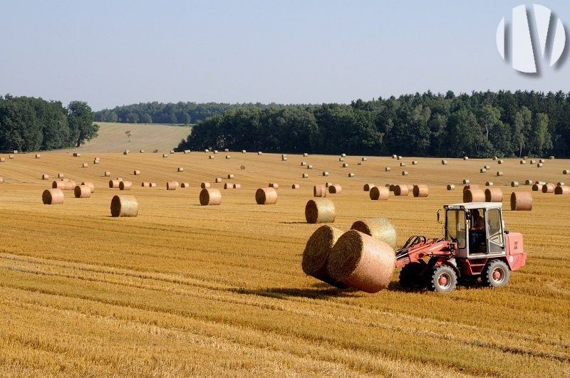 CENTRE VAL DE LOIRE – Prestations de services – ETA et Exploitations Agricoles - 