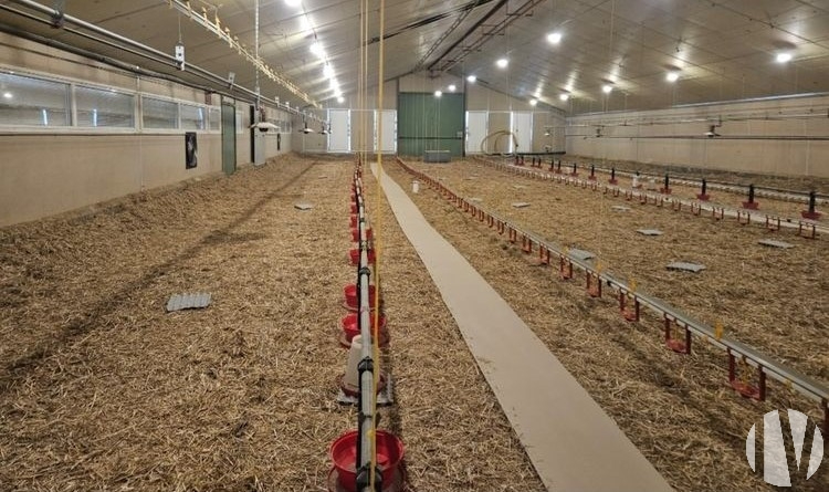 VENDEE. Bel atelier avicole performant sur 3500 m² - 