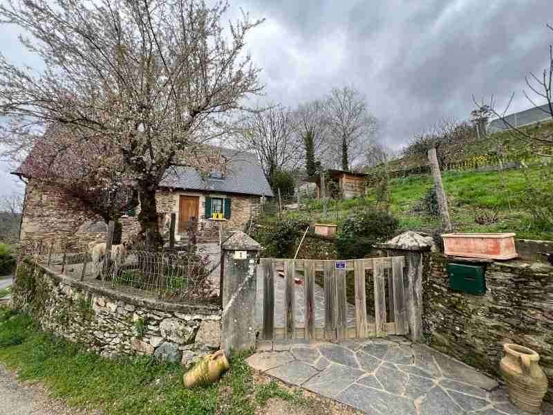 CORREZE : Nouveau vignoble ! - 