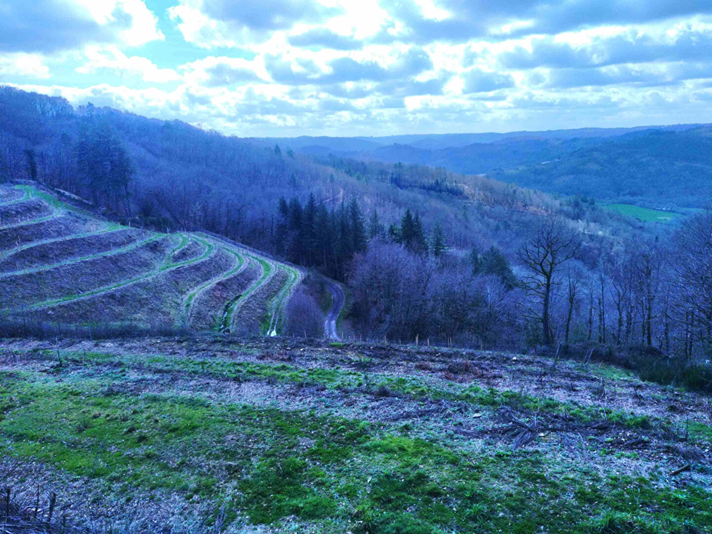 CORREZE : Nouveau vignoble ! - 