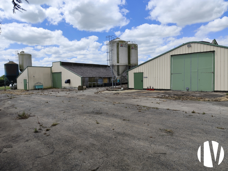 MORBIHAN- Exploitation agricole de 29 hectares -