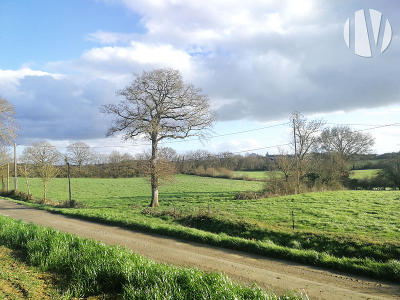 VENDU EN 2025 – MAINE-ET-LOIRE, agréable exploitation caprine et bovin viande avec très bonne rentabilité - 