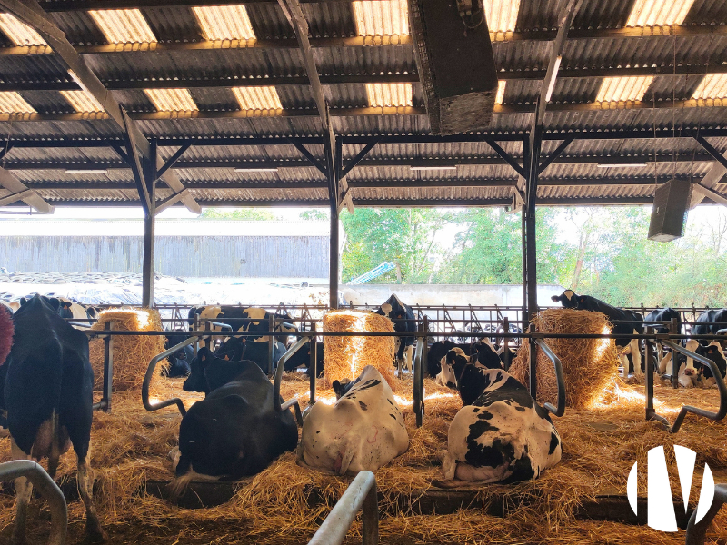 MAINE-ET-LOIRE, 660 000 litres sur 124 ha proche Angers - 