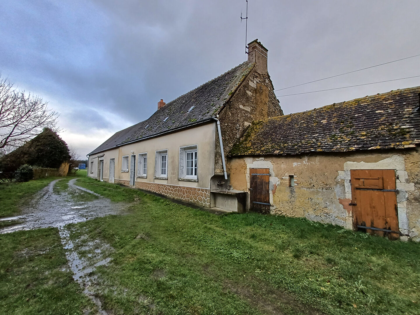 SARTHE. Exploitation polyculture sur 200 hectares - 