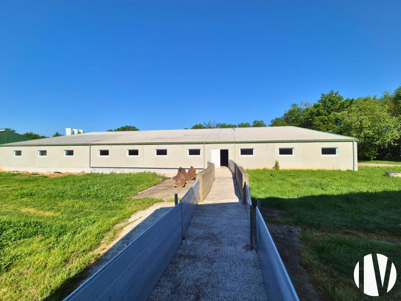 Charente – Belle exploitation porcine - 