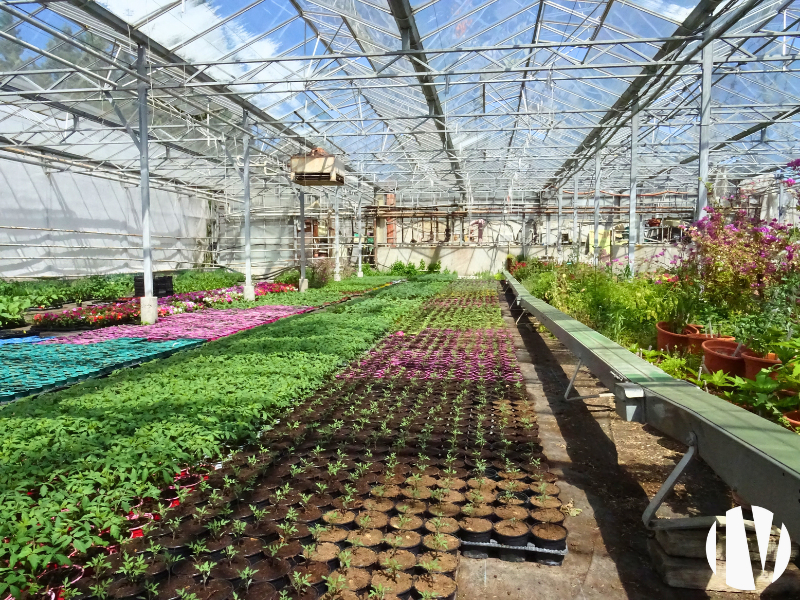 DROME PROVENCALE – Entreprise horticole et maraichère en vente directe. - 