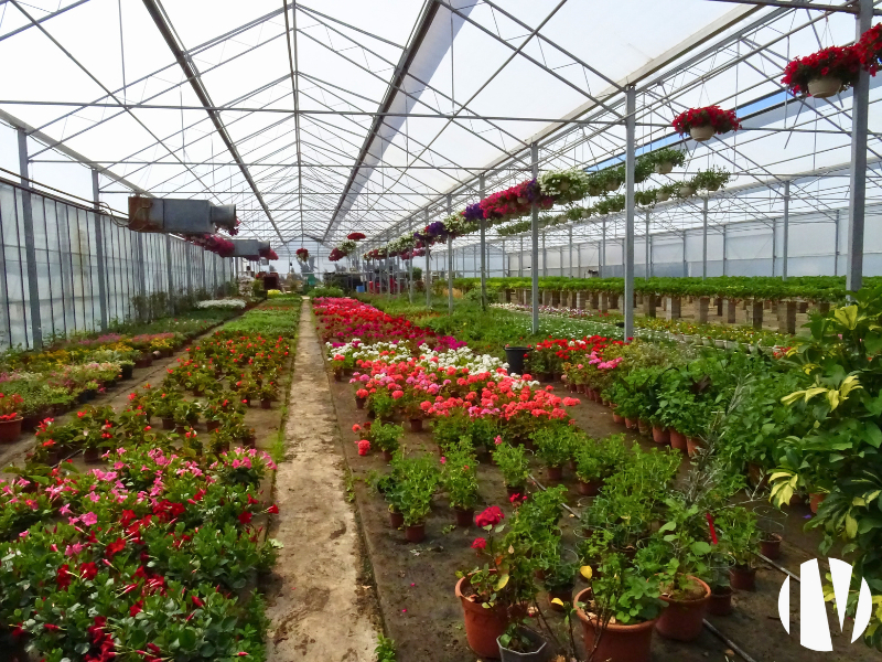 DROME PROVENCALE – Entreprise horticole et maraichère en vente directe. - 