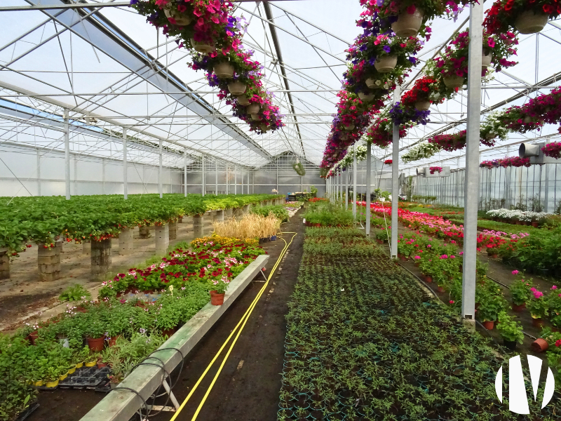 DROME PROVENCALE – Entreprise horticole et maraichère en vente directe. - 