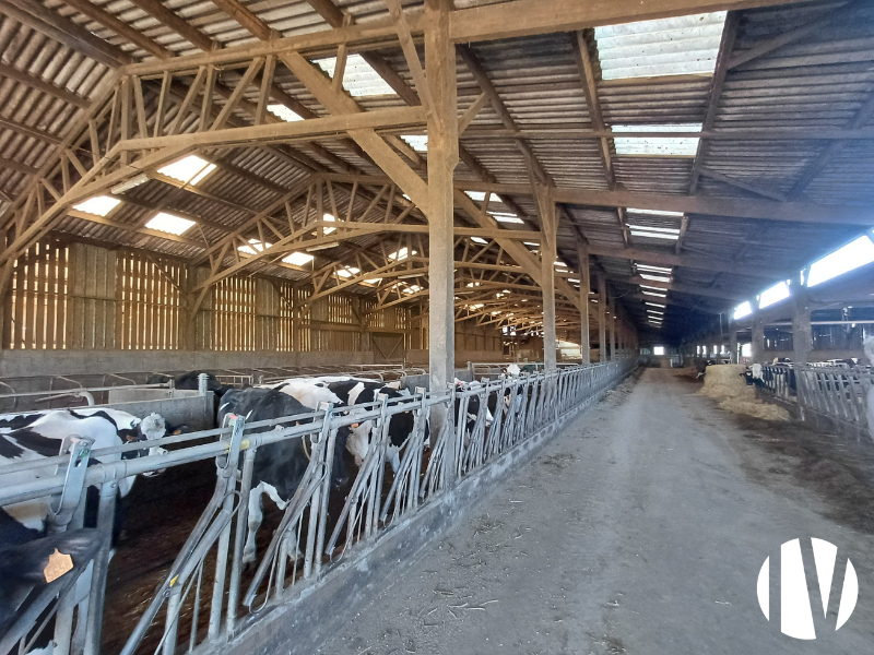 MANCHE – Lait et porc sur 85 hectares - 