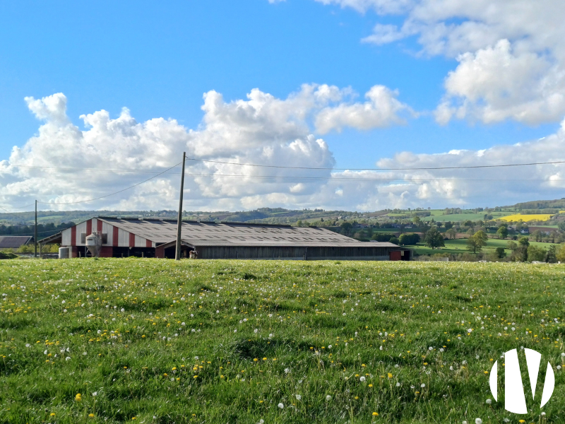 MANCHE – Lait et porc sur 85 hectares - 