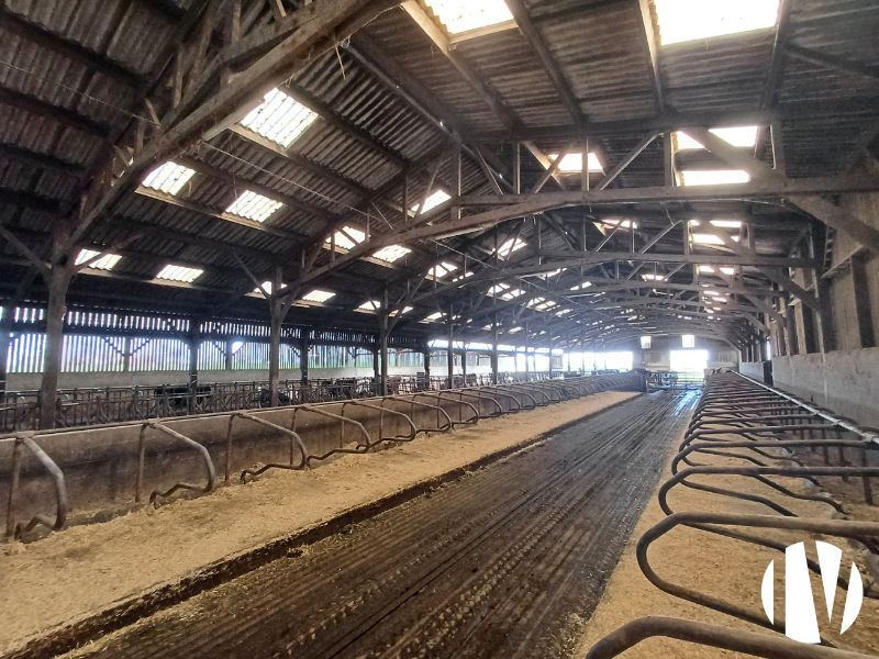 MANCHE – Lait et porc sur 85 hectares - 
