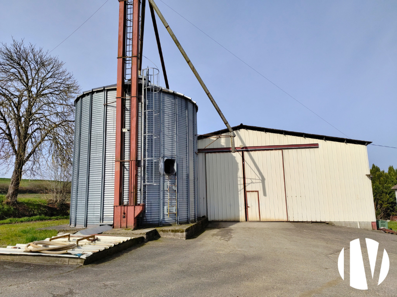 Lot et Garonne : Exploitation céréalière de 340ha avec 550 places d’engraissement de bovins - 