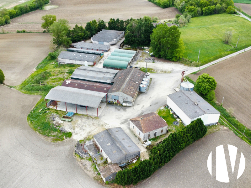 Lot et Garonne : Exploitation céréalière de 340ha avec 550 places d’engraissement de bovins - 