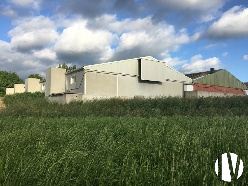 FINISTERE. Rare. Exploitation porcine, 1000 truies sur 4 sites. - 