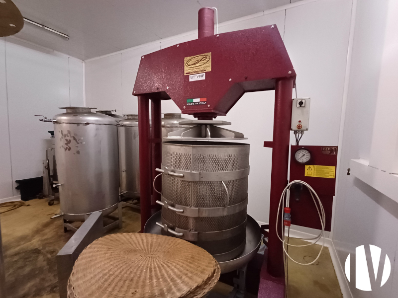 COTES D’ARMOR – Domaine unique en production de vin de poiré - 