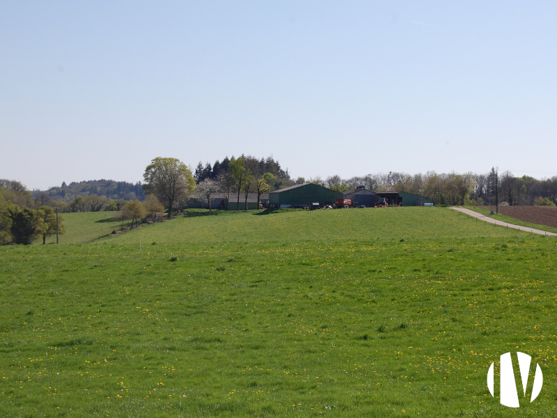 FINISTERE – Exploitation laitière sur 150 hectares associée à une exploitation porcine de 100 truies naisseur-engraisseur - 