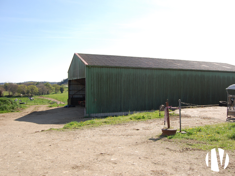 FINISTERE – Exploitation laitière sur 150 hectares associée à une exploitation porcine de 100 truies naisseur-engraisseur - 