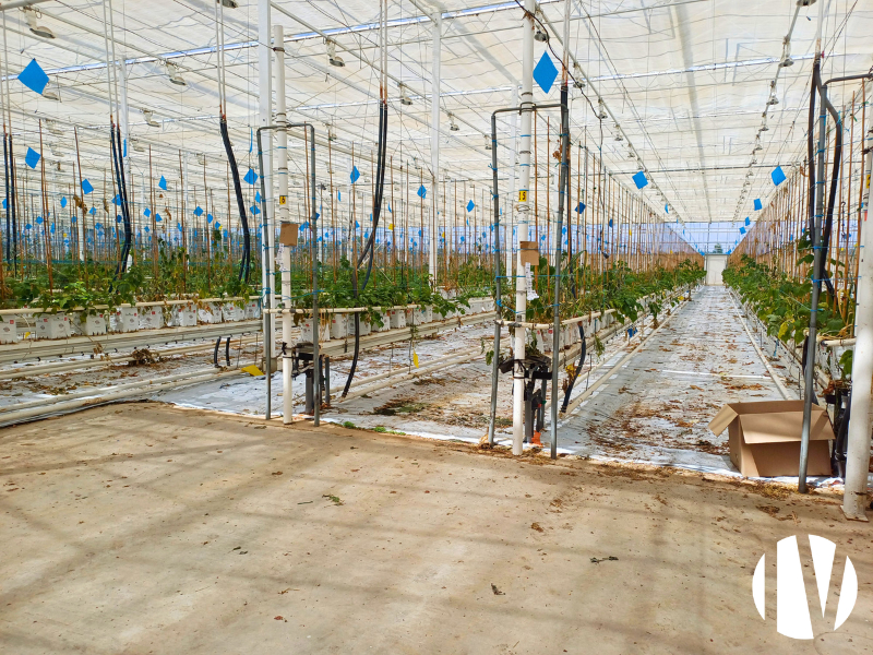 GRAND OUEST:  Exploitation en fruits rouges et autres productions – Sites rares et complets à vendre -