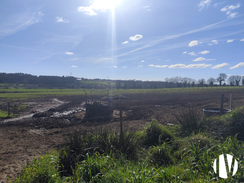MORBIHAN – Exploitation laitière de 86 hectares de surface PAC et 483 000 litres - 