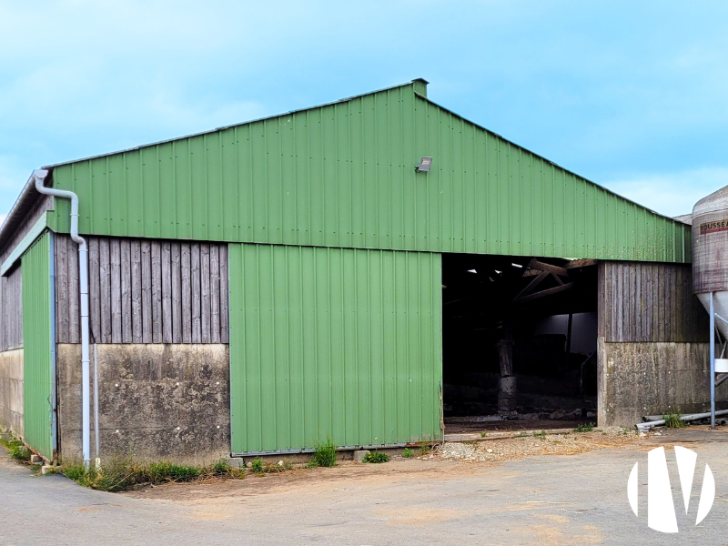 Finistère. Exploitation laitière robotisée sur 190 ha - 