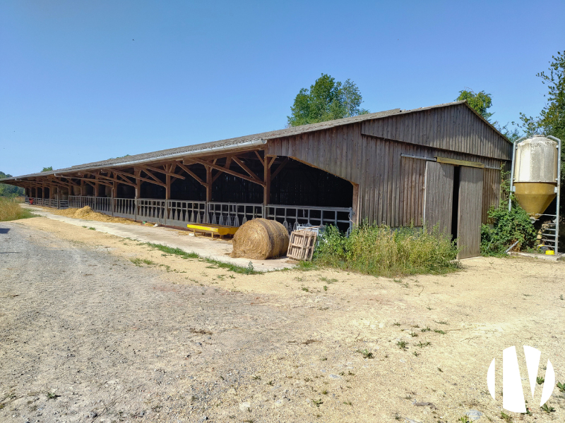 CREUSE : Exploitation herbagère avec agrotourisme sur 100ha - 