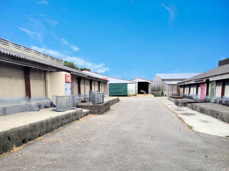 FINISTERE. Elevage de bovins viandes sur 65 ha - 