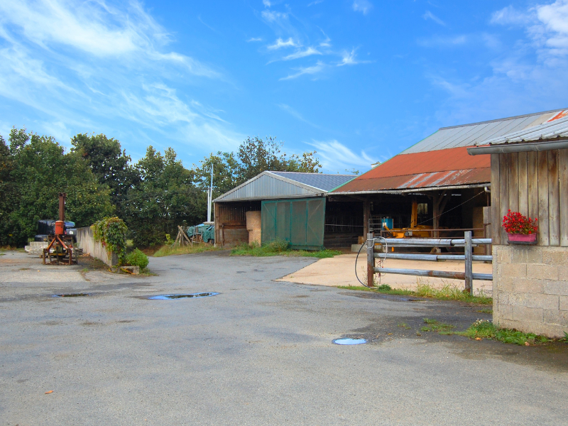 FINISTERE. Elevage de bovins viandes sur 65 ha - 