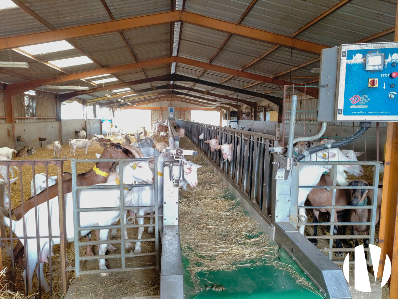 INDRE, exploitation caprine avec transformation très rentable - 