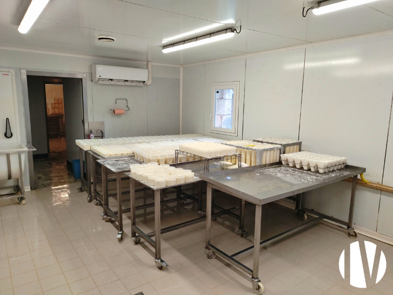 INDRE, exploitation caprine avec transformation très rentable - 