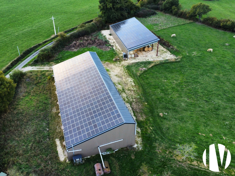 INDRE, exploitation caprine avec transformation très rentable - 