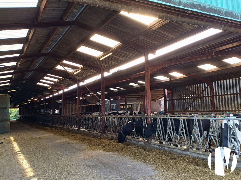 LOIRE ATLANTIQUE. Beau site laitier 1.300.000 litres sur 260 hectares - 