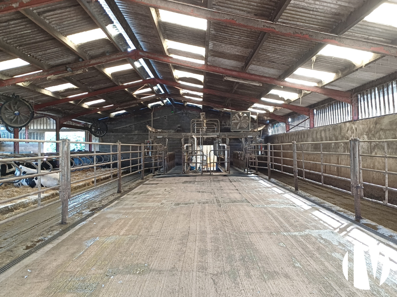 LOIRE ATLANTIQUE. Beau site laitier 1.300.000 litres sur 260 hectares - 