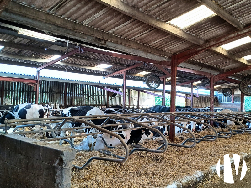 LOIRE ATLANTIQUE. Beau site laitier 1.300.000 litres sur 260 hectares - 