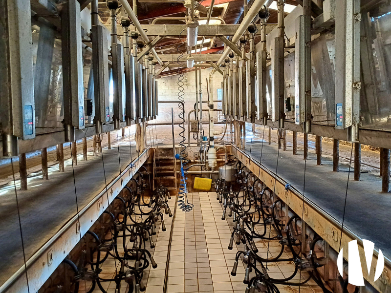 LOIRE ATLANTIQUE. Beau site laitier 1.300.000 litres sur 260 hectares - 