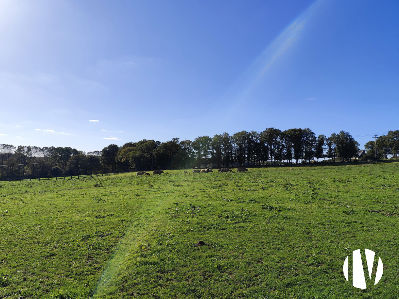 MORBIHAN –  Secteur dynamique , exploitation agricole mixte sur 19hectares de surfaces PAC -