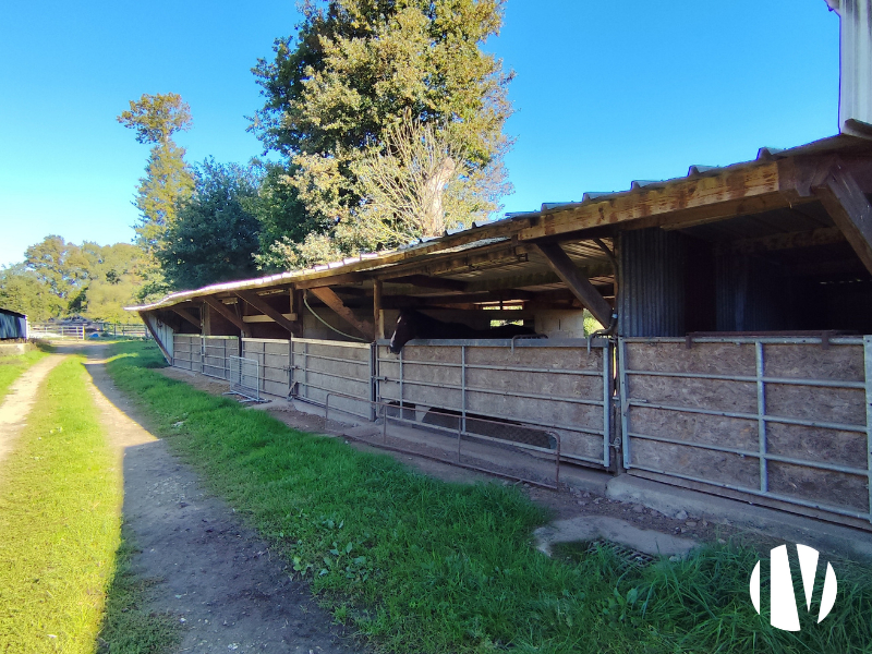 MORBIHAN –  Secteur dynamique , exploitation agricole mixte sur 19hectares de surfaces PAC -