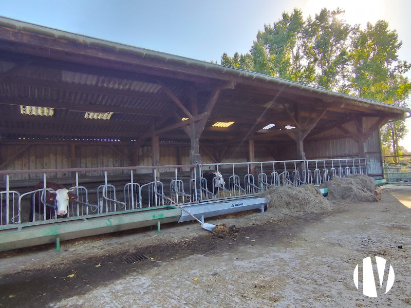 MORBIHAN –  Secteur dynamique , exploitation agricole mixte sur 19hectares de surfaces PAC -