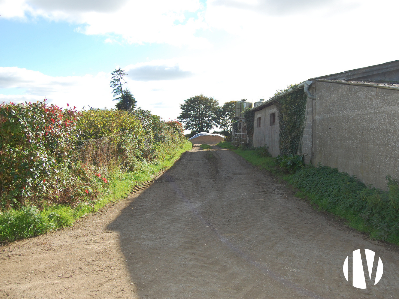 FINISTERE – Exploitation laitière et engraissement sur 100 hectares - 
