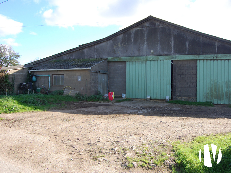 FINISTERE – Exploitation laitière et engraissement sur 100 hectares - 