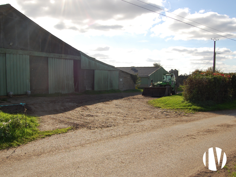 FINISTERE – Exploitation laitière et engraissement sur 100 hectares - 