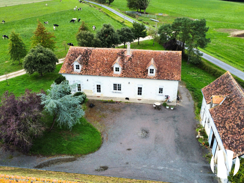 INDRE ET LOIRE : Sur 140ha, plus de 1 000 000 de litre de lait avec une génétique Prim’Holstein exceptionnelle ! - 