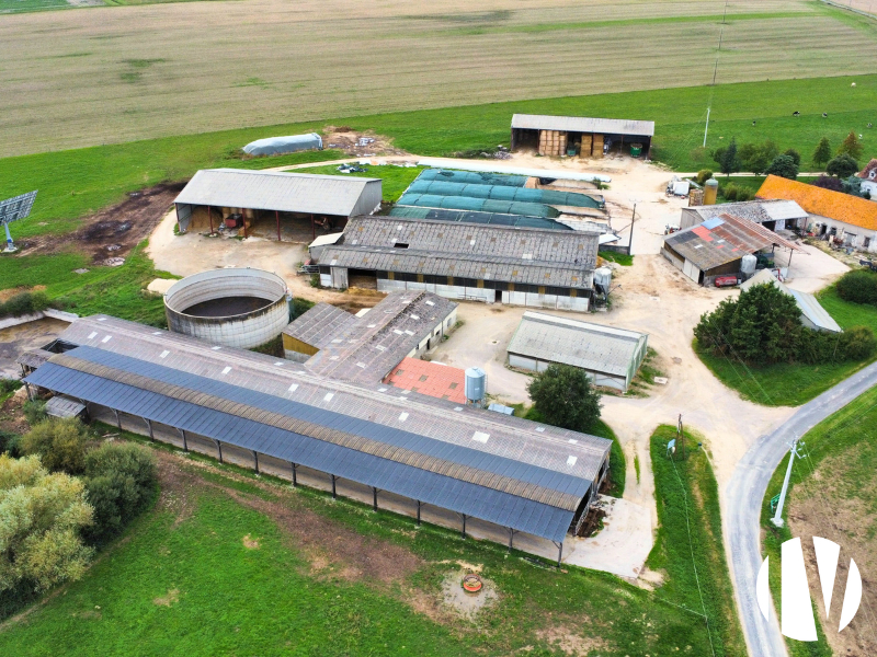 INDRE ET LOIRE : Sur 140ha, plus de 1 000 000 de litre de lait avec une génétique Prim’Holstein exceptionnelle ! - 