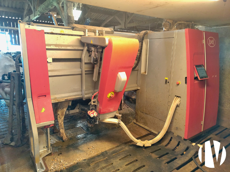 INDRE ET LOIRE : Sur 140ha, plus de 1 000 000 de litre de lait avec une génétique Prim’Holstein exceptionnelle ! - 