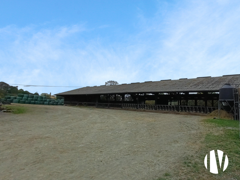 MANCHE – Exploitation laitière à taille humaine au coeur de la Manche - 