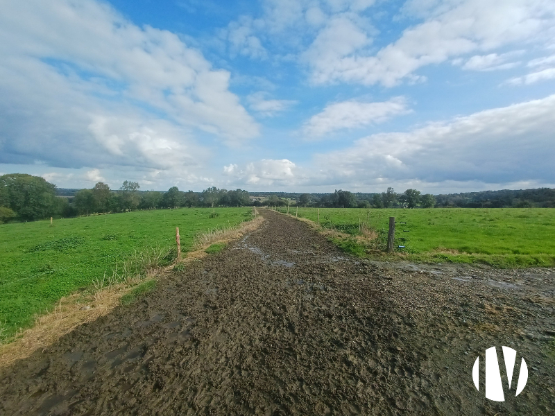 MANCHE – Exploitation laitière à taille humaine au coeur de la Manche - 