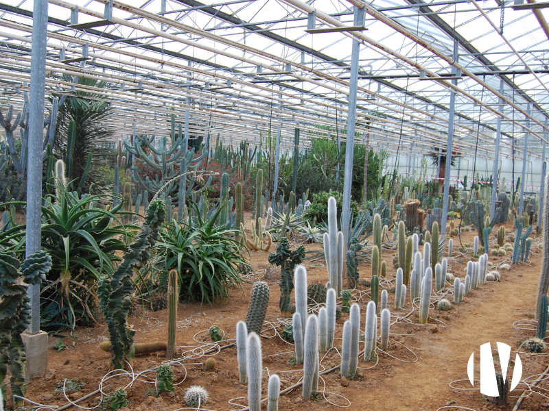 FINISTERE – Exploitation horticole d’exception - 