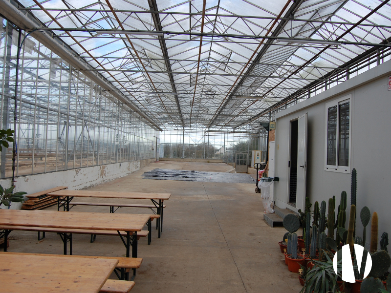 FINISTERE – Exploitation horticole d’exception - 